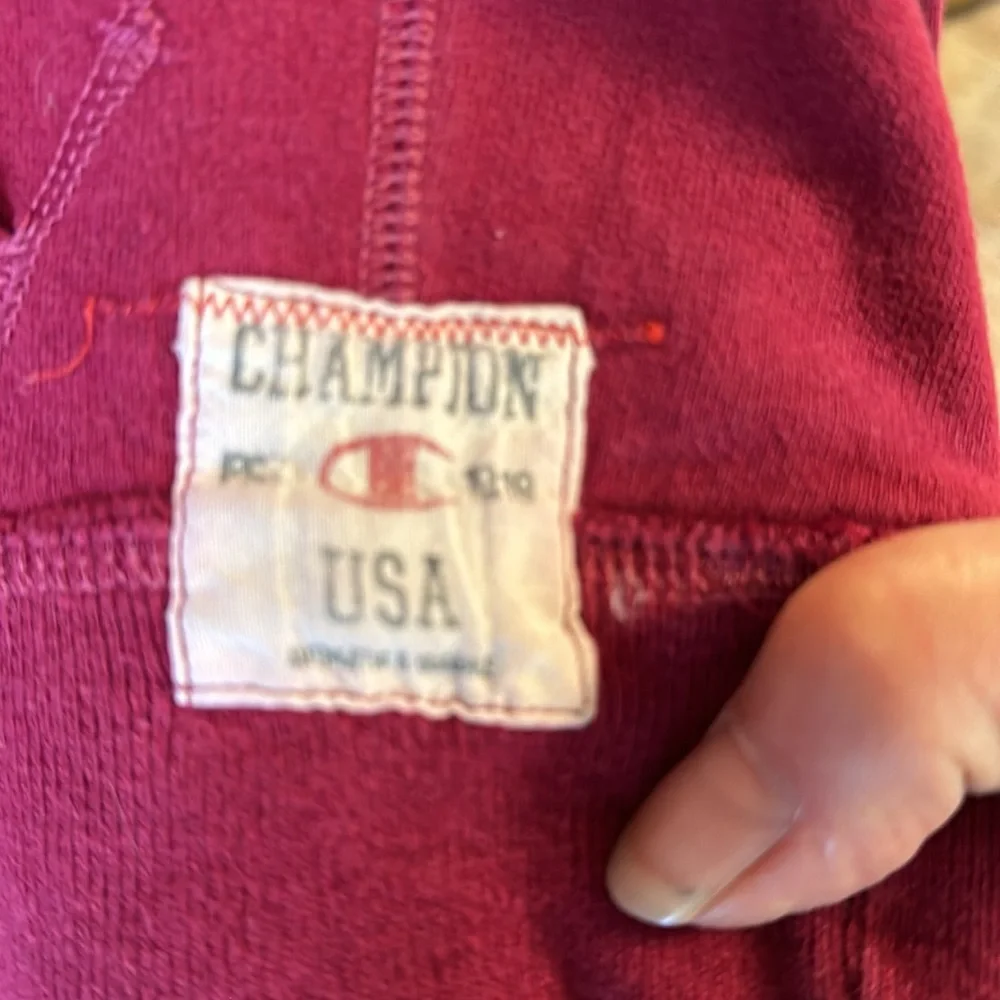 Champion hooded sweatshirt in size M - Picture 3 of 9